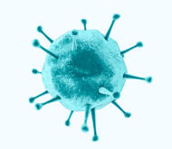 Schwaches Immunsystem