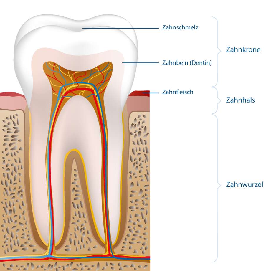 Tipps Empfindliche Zähne Denta Expert AT